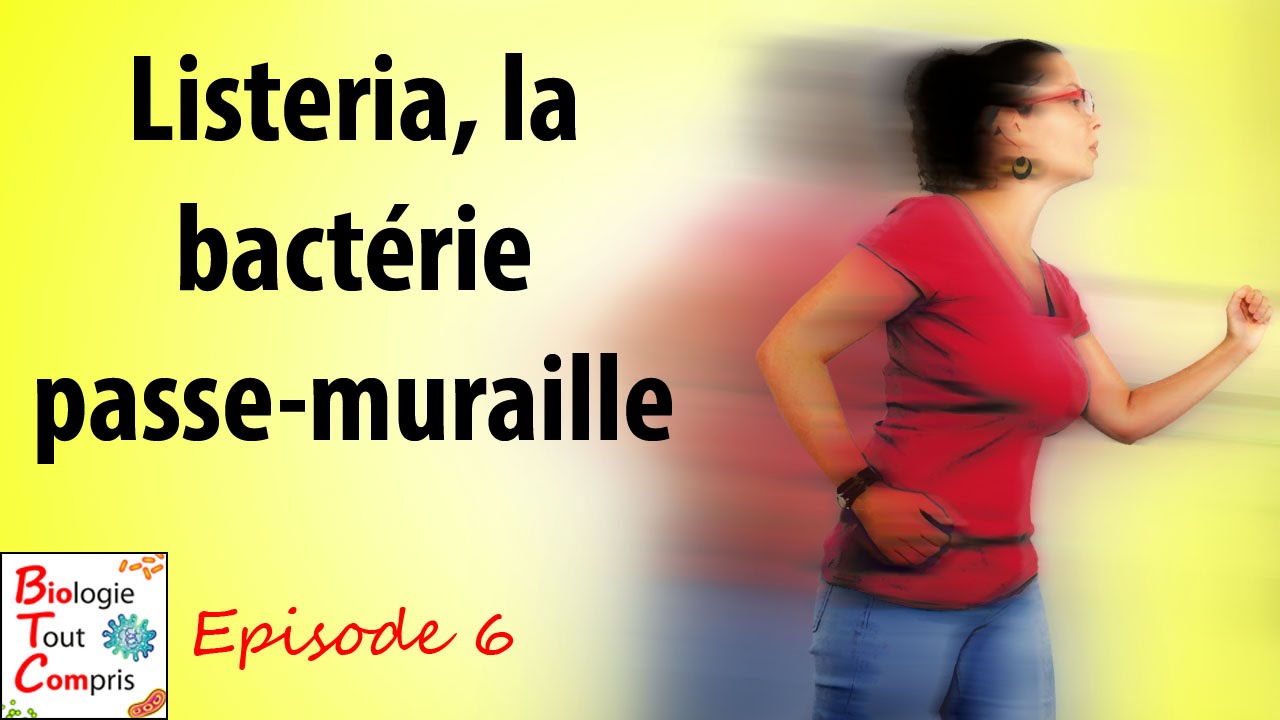 Listeria, la bactérie passe-muraille - BioTCom 06