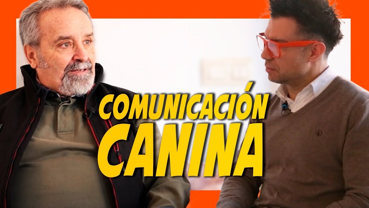 ADIESTRADOR EXPERTO revela las claves de la COMUNICACIÓN CANINA 🐶