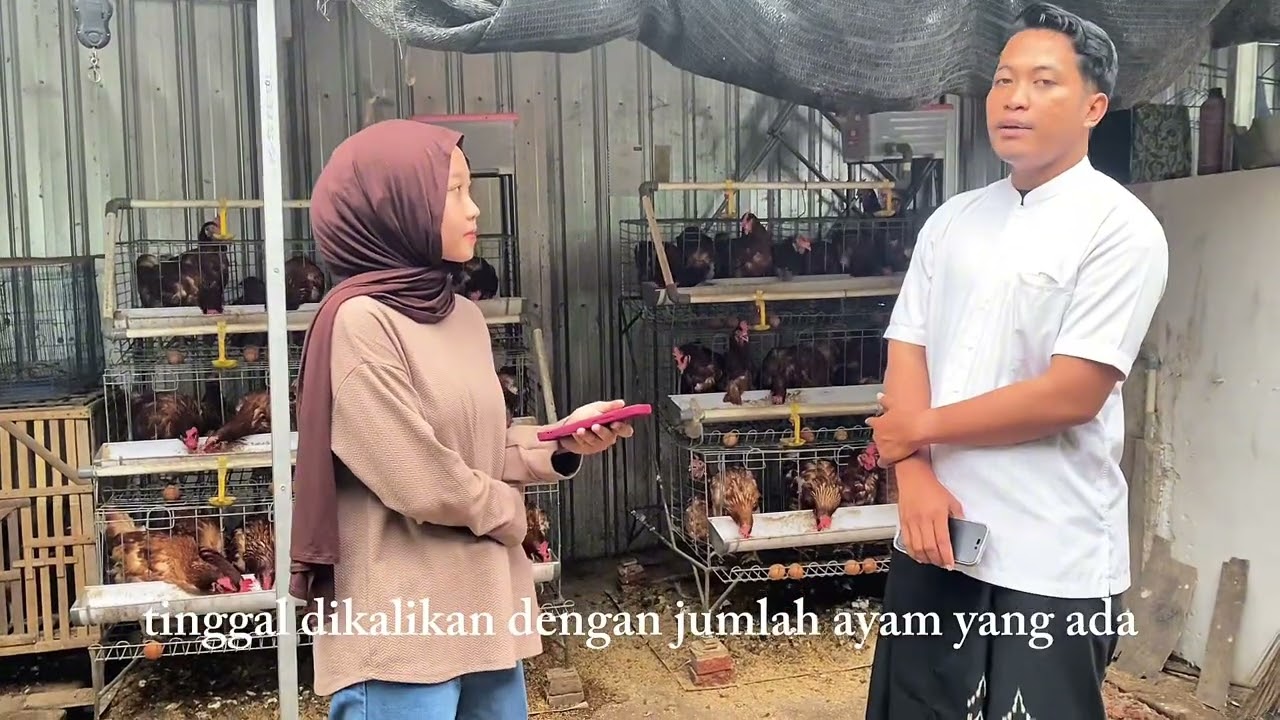 Wawancara Peternak Ayam Petelur 🐔🥚 Skala Kecil | Tugas PKWU