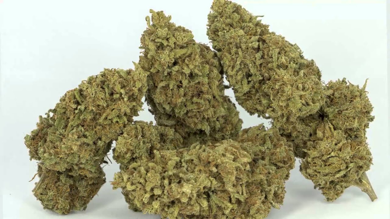 Copa Cannabis 2015   Muestras