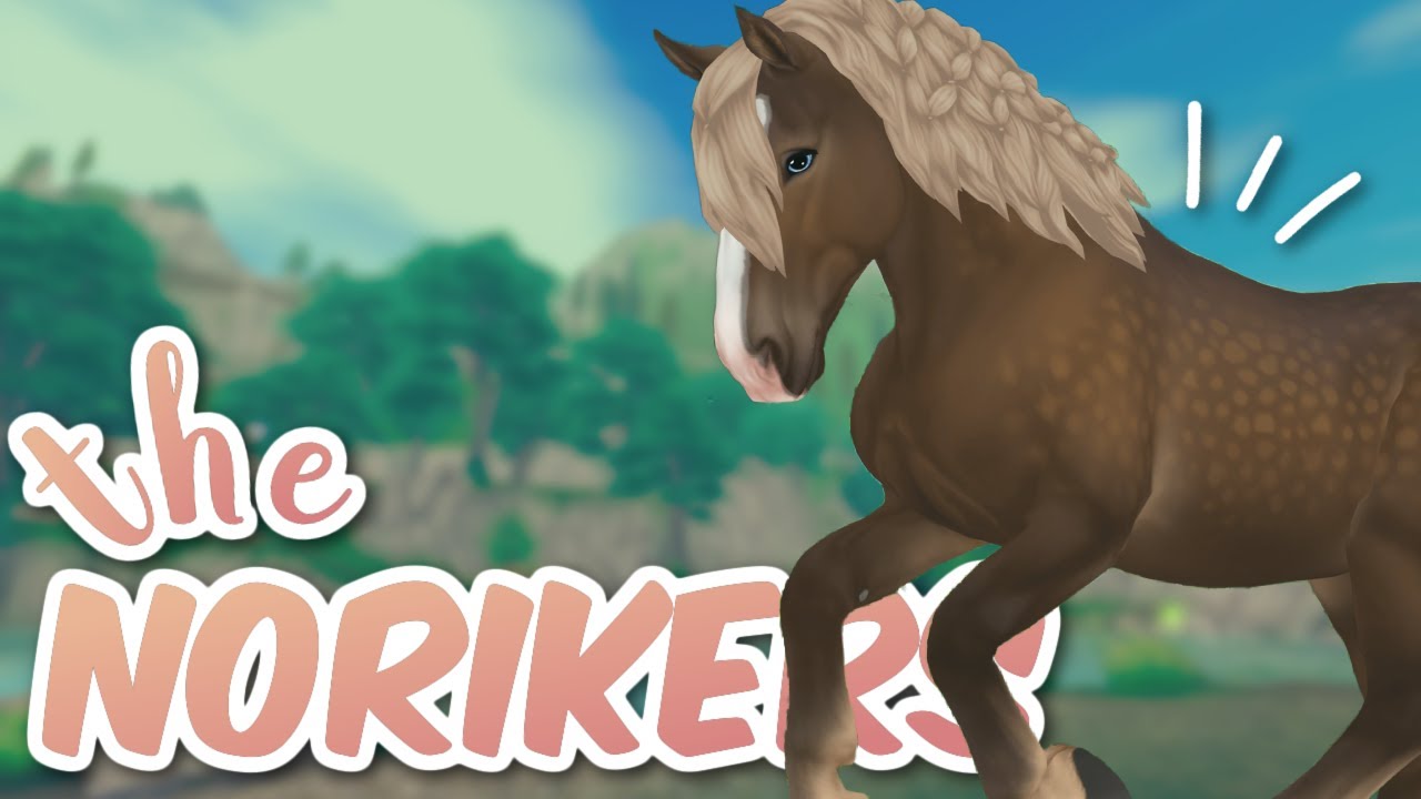 Buying the Noriker!