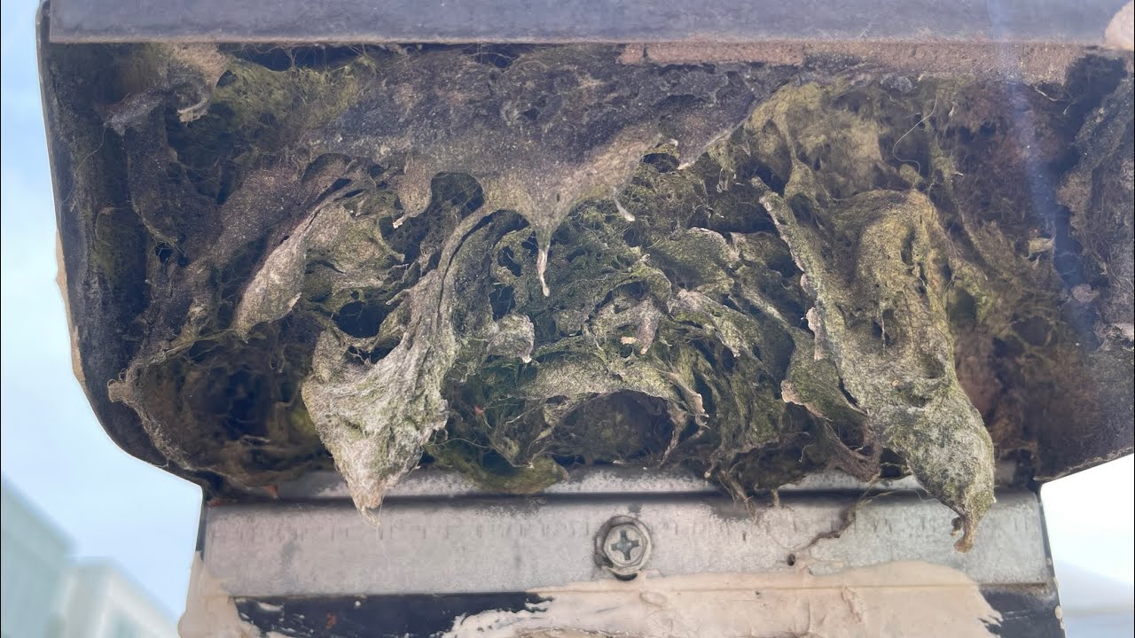 Got a GOOD ONE for ya Boys and Girls!!! EXTREME DRYER VENT CLEANING! #almetaldryervent #fyp #home