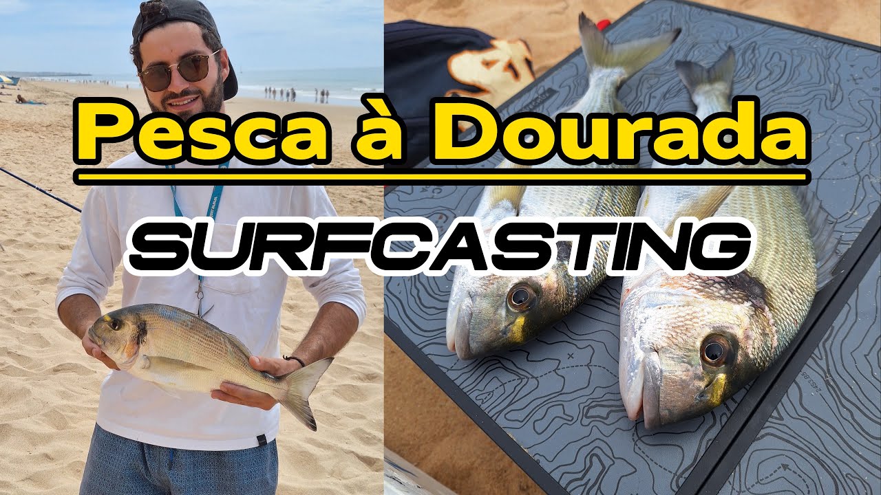 Úlimas Douradas do ano?  Surfcasting em Portugal