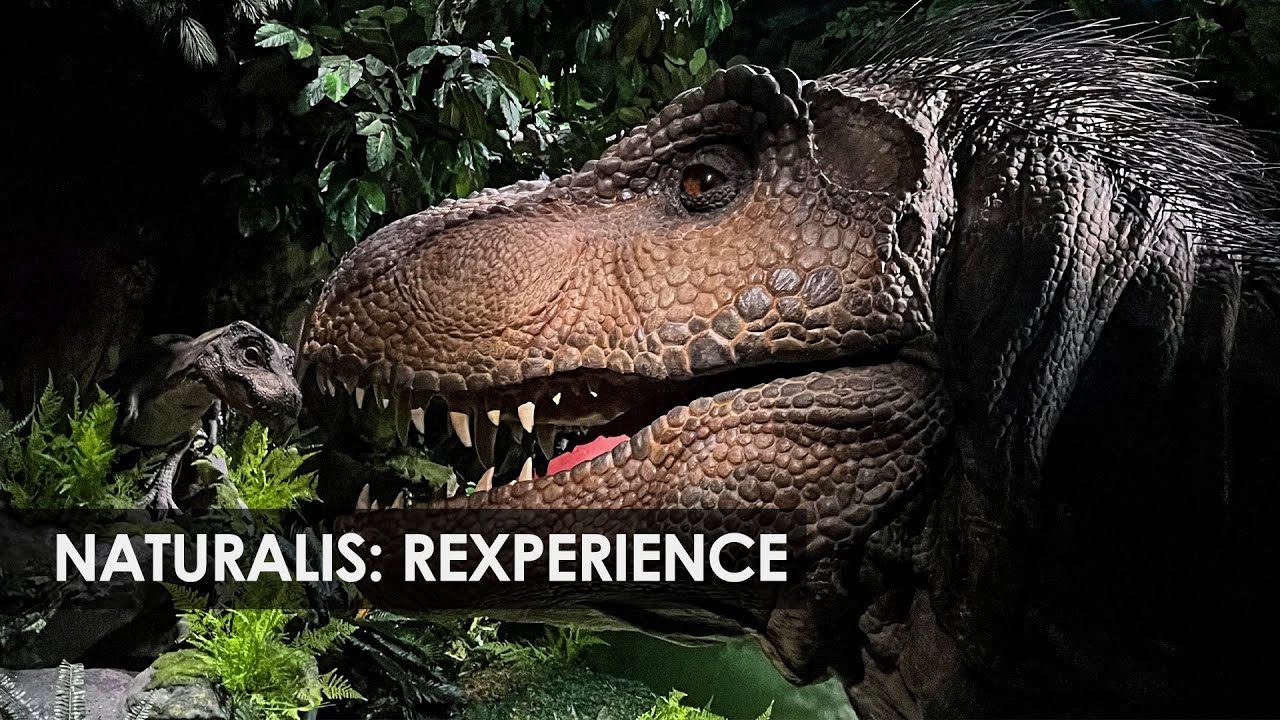 Spectaculaire animatronic in nieuwe attractie Naturalis: de Rexperience