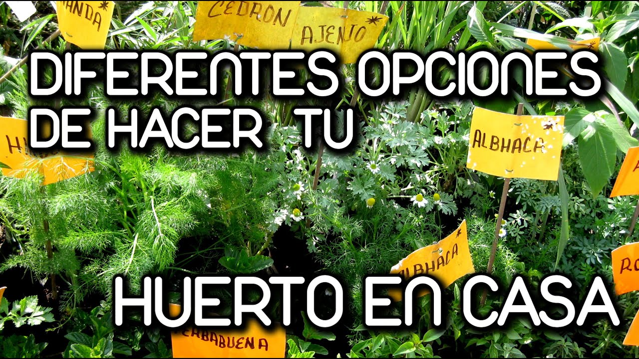 Como hacer  huerto en Casa
