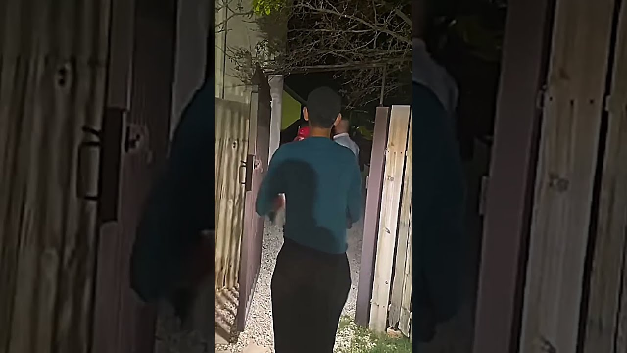 Vegas Backyard Aliens - Video Analysis