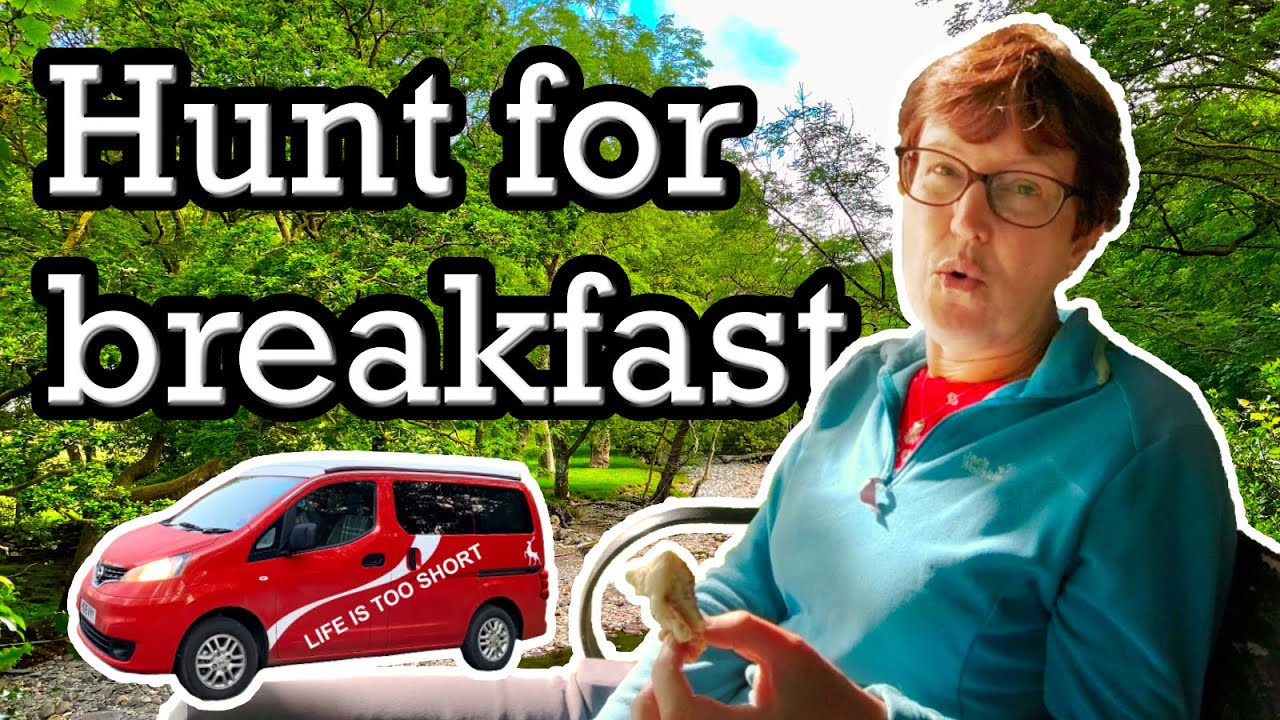 North Wales 2021 Vlog 21 Betws-y-Coed, Porthmadog, Criccieth