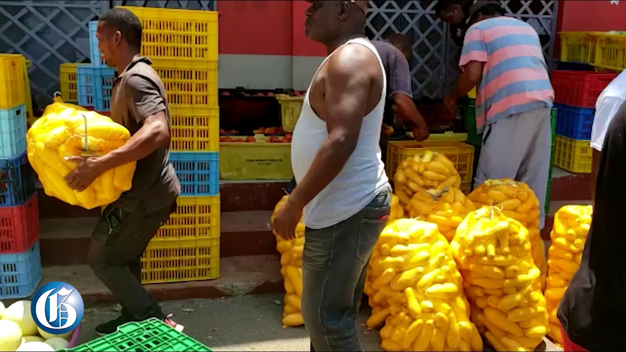 WATCH: Relief for St Elizabeth farmers.