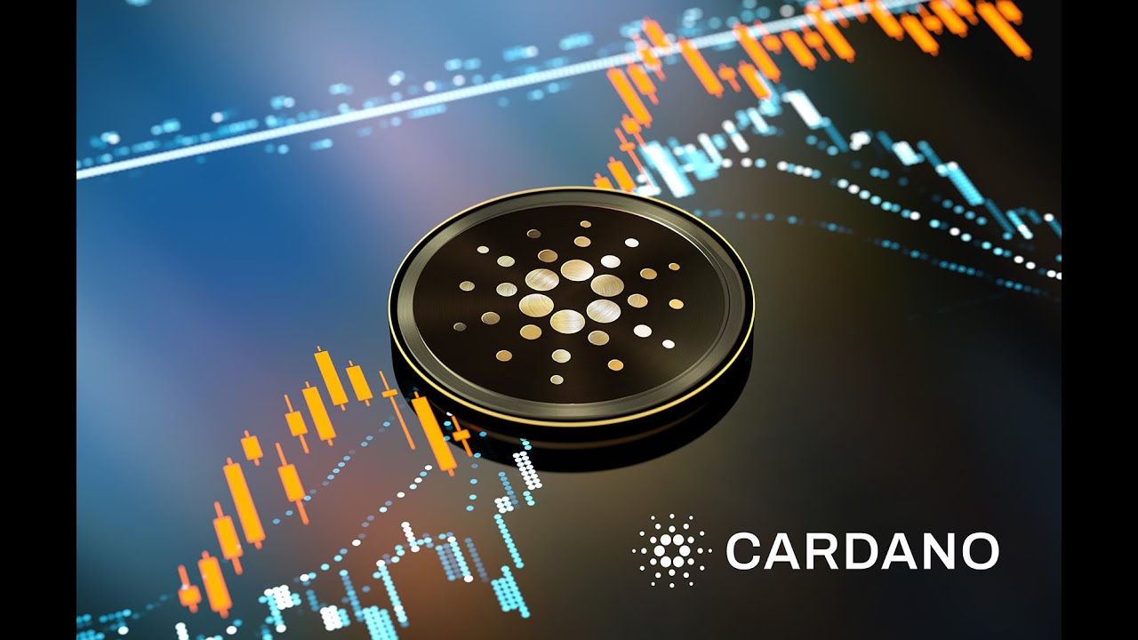 Cardano TVL Sheds $205 Million Since Hitting All Time High