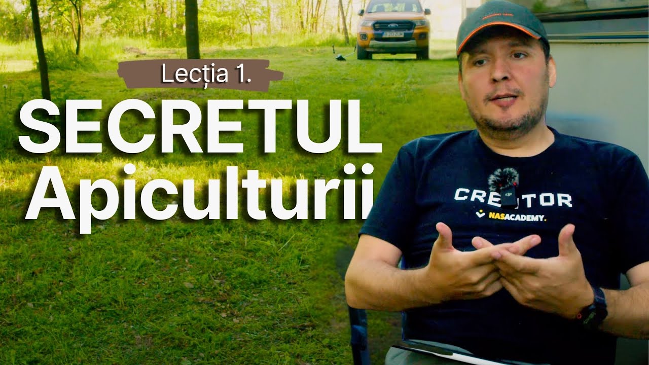 Creșterea Măcilor: Secretul Apiculturii Moderne