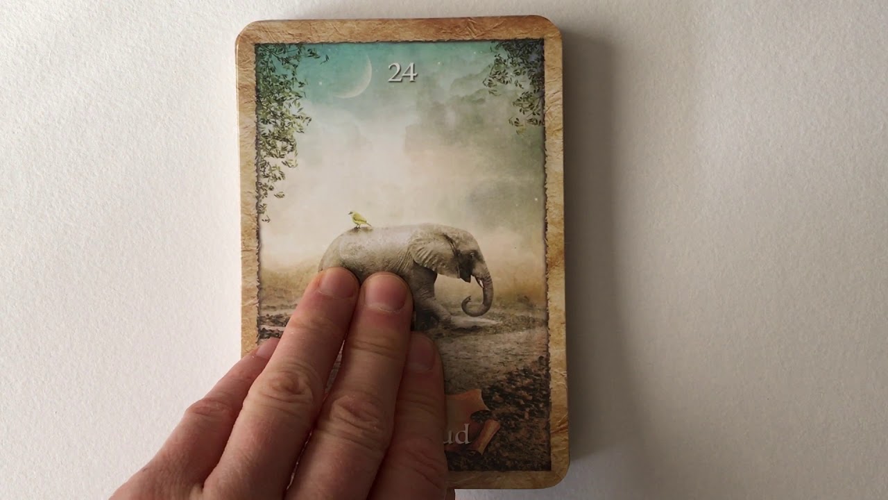 The Enchanted Map Oracle | Flip Through