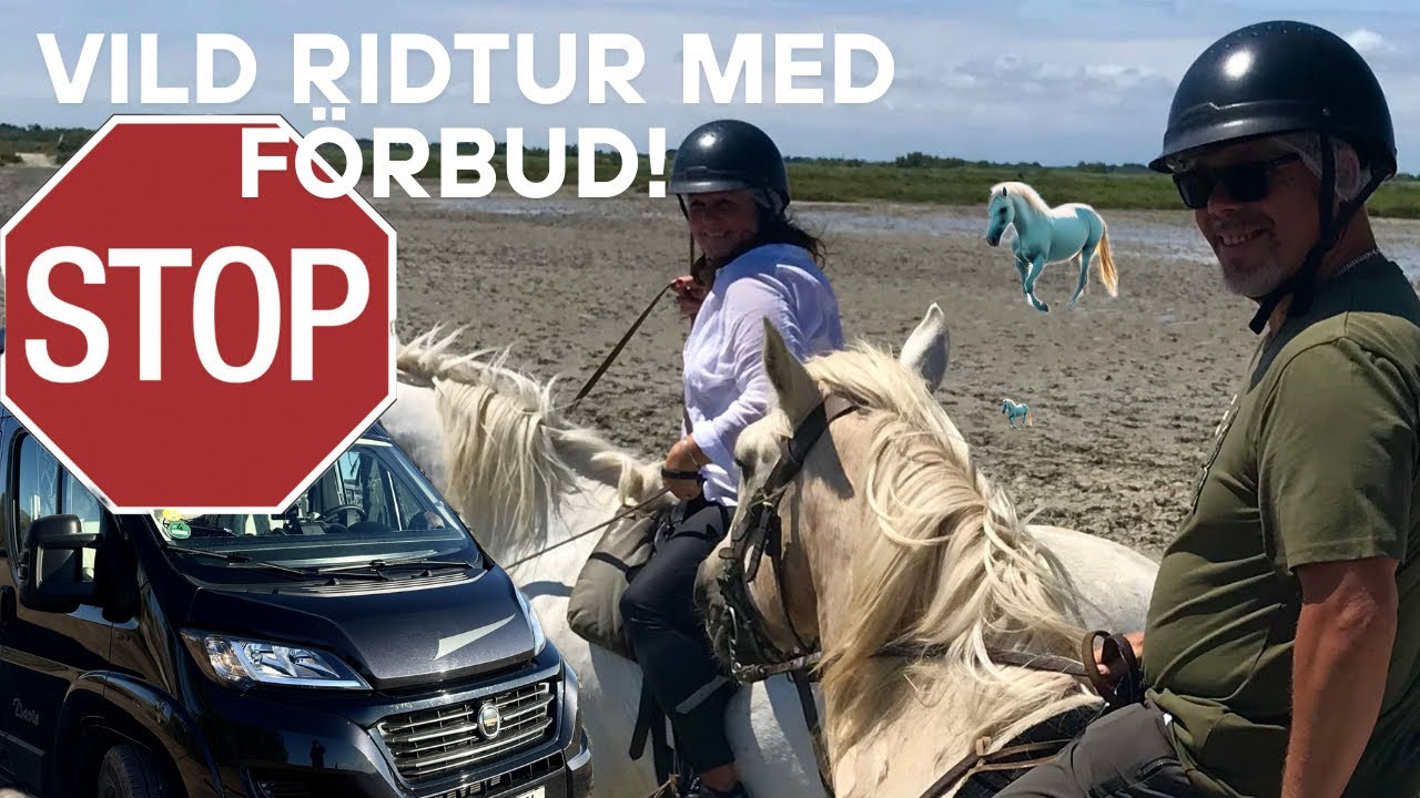 Ridturen vi knappt fick filma – Drömmen i Camargue! Frankrike 🇫🇷/ GlampingExplorer.se