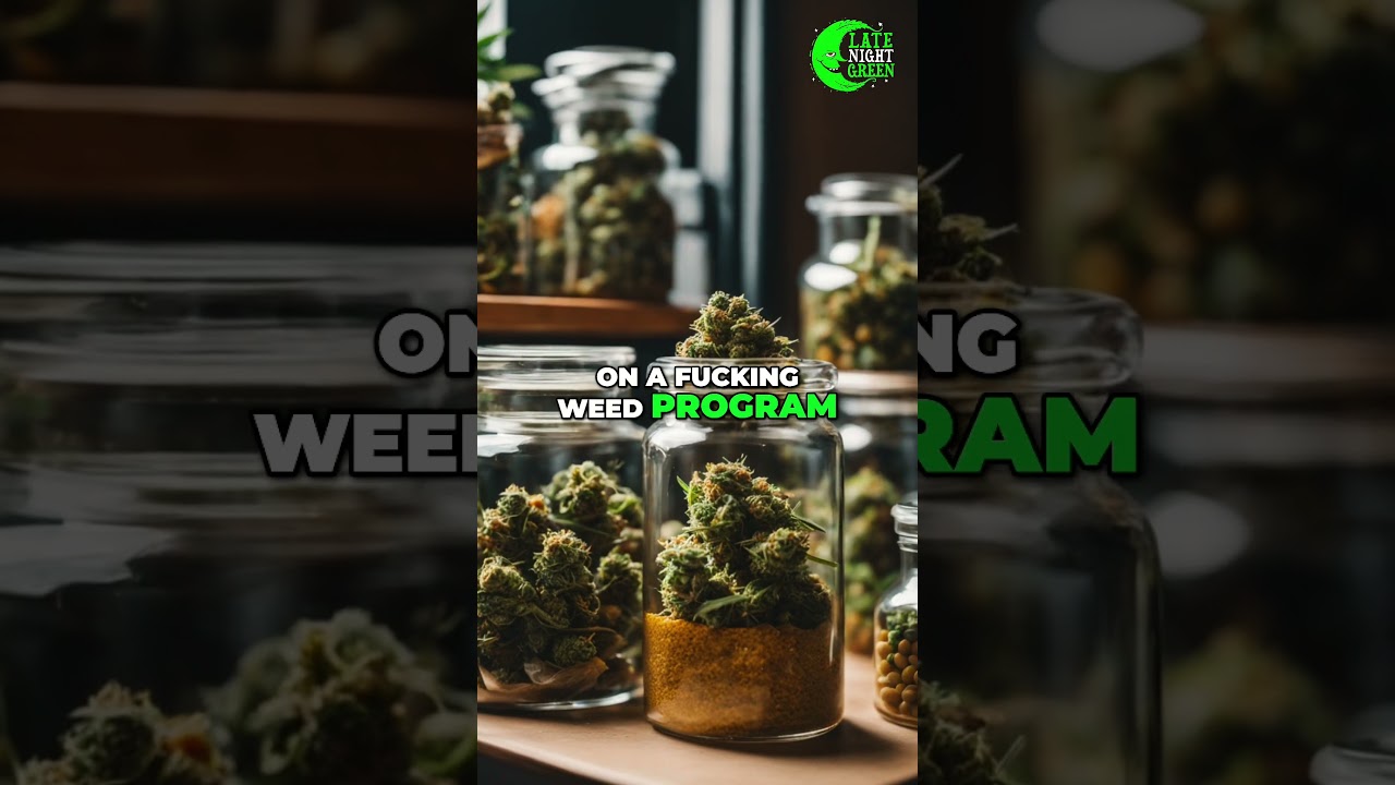 Europe's Cannabis Boom: UK Joins the Green Rush  1