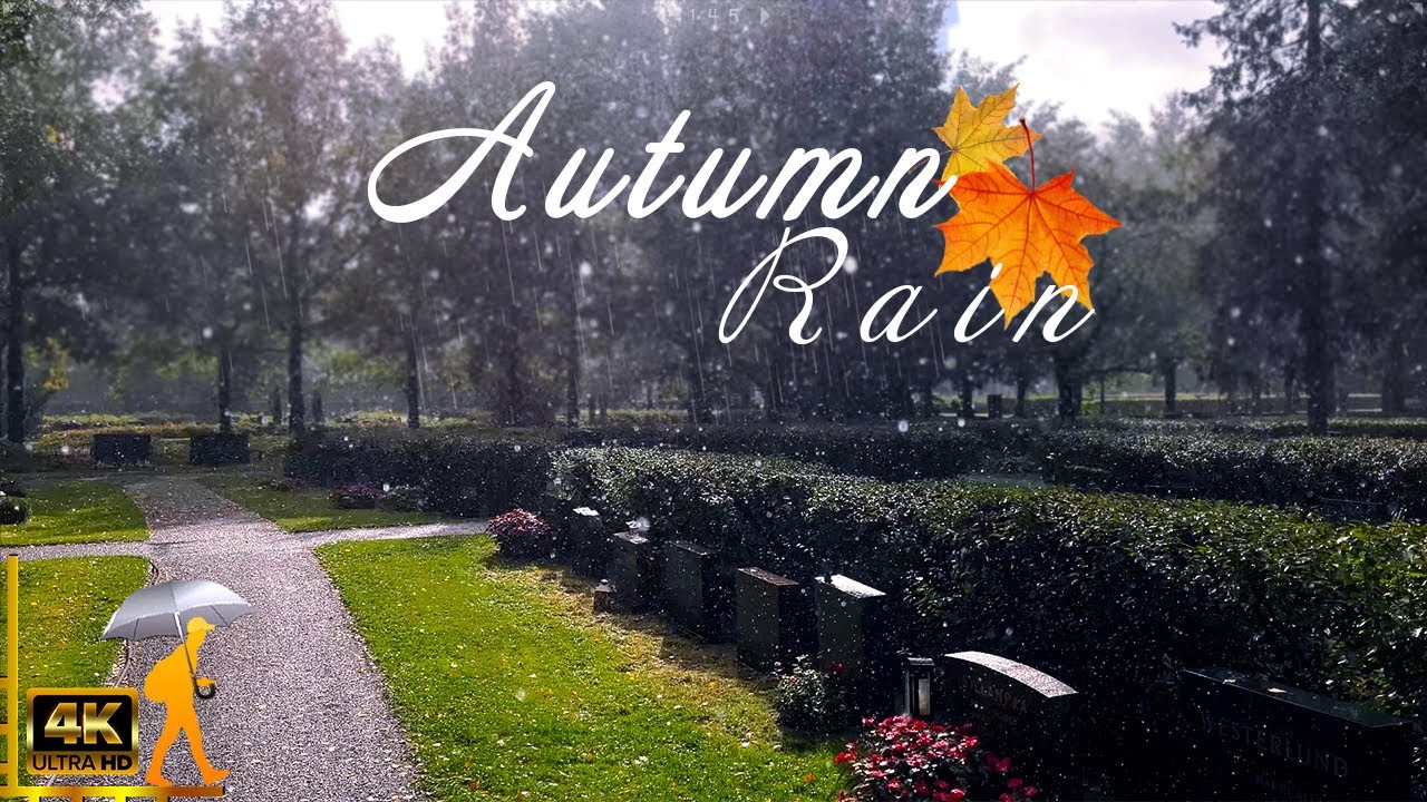 Binaural Rain Walk in Autumn Malmi Cemetery, Finland 4K