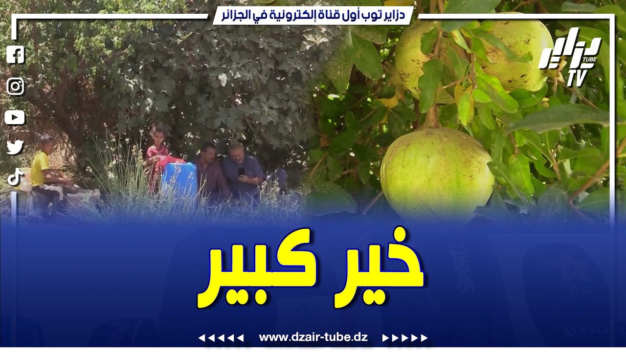 شاااااهد.. الفلاحين بالهقار يستبشرون خير بالأمطار وزوار تازروك وتباربارت يعبرون عن روعة المنطقة