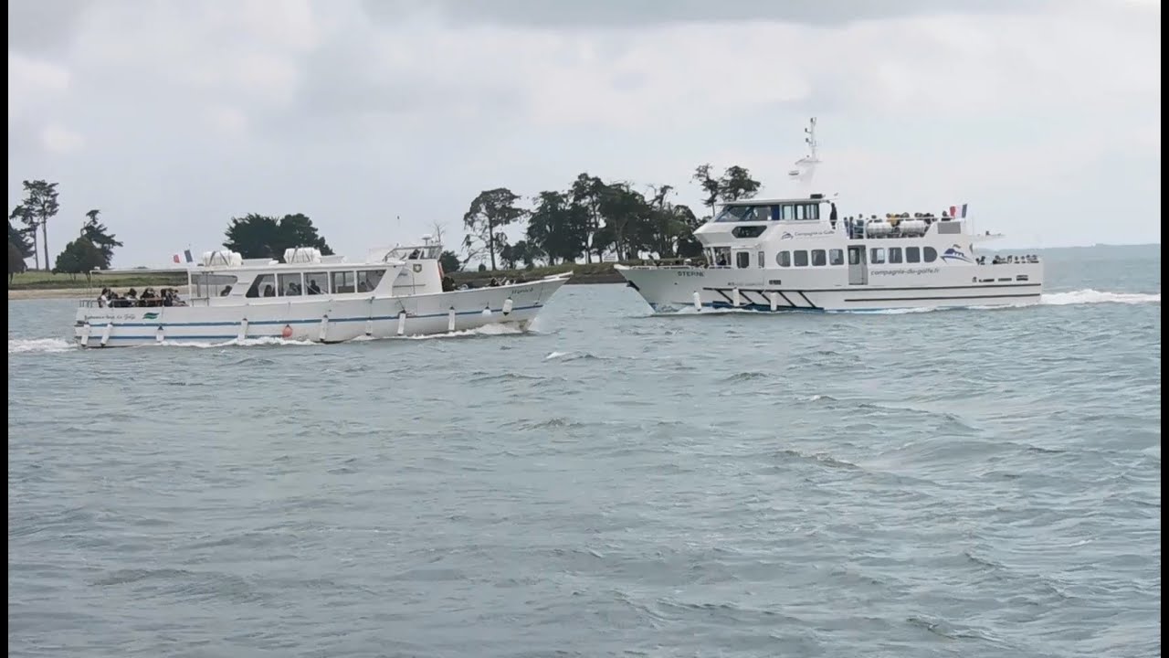 Vedettes à passagers dans le Golfe du Morbihan (Sterne, Waroch, Ile d'Arz)