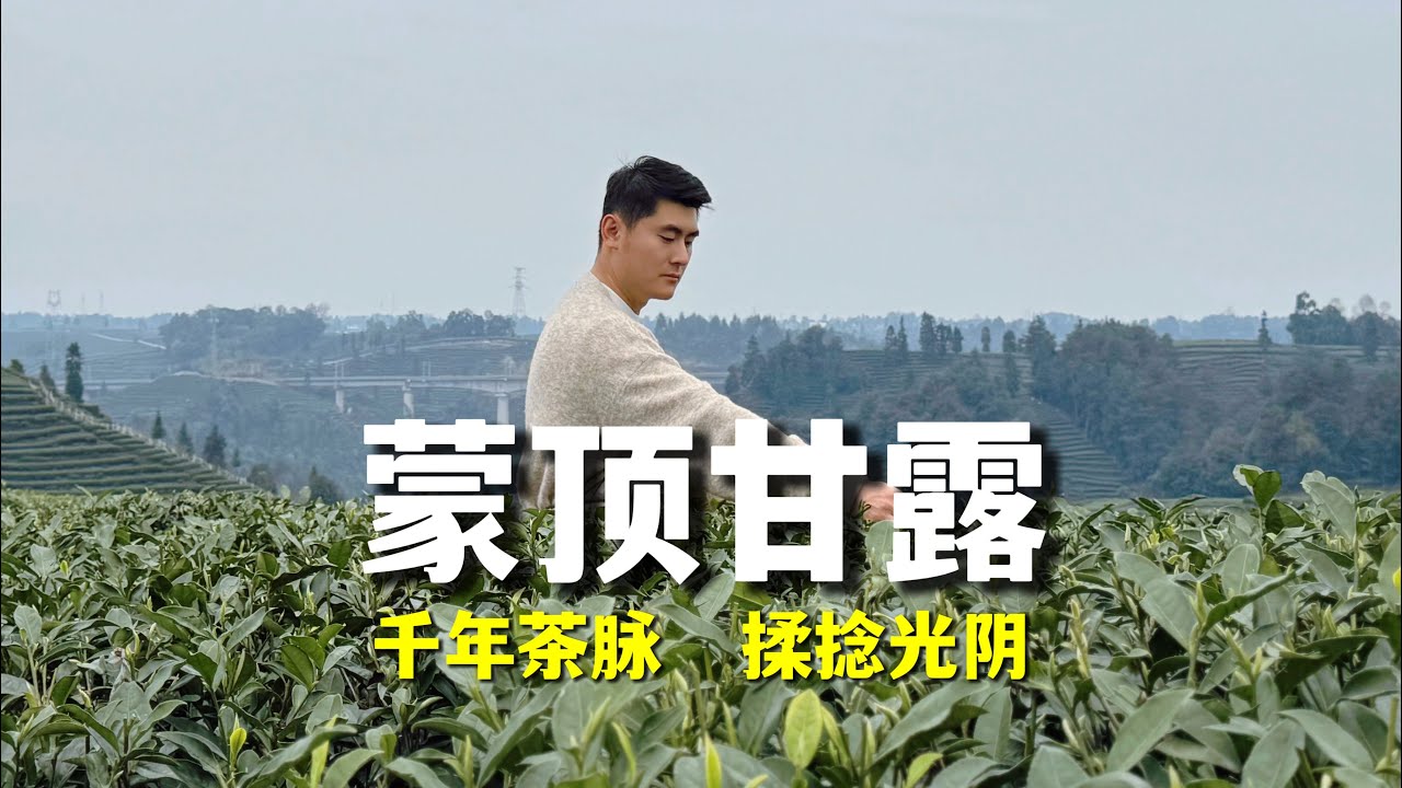 我在世界茶种植起源地——蒙顶山当了一天茶农 #中国文化 #茶