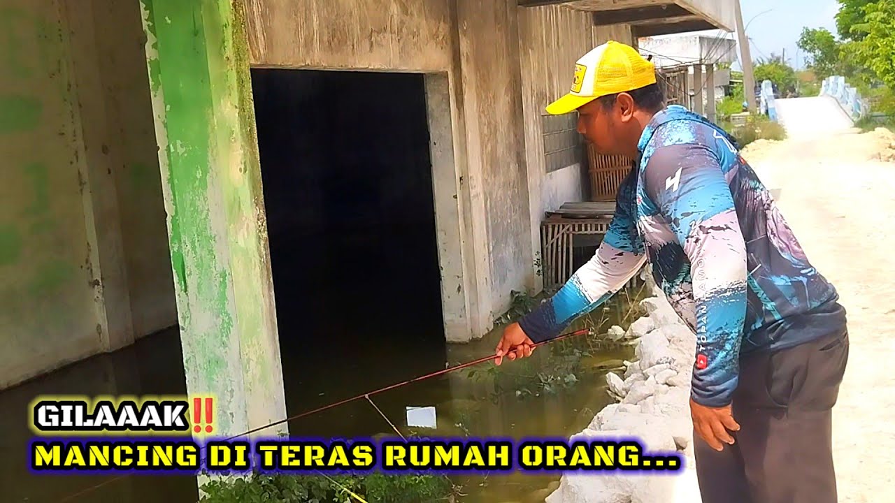BANJIR LAMONGAN‼️TERAS RUMAHPUN JADI SARANG IKAN #fishing #fisherman