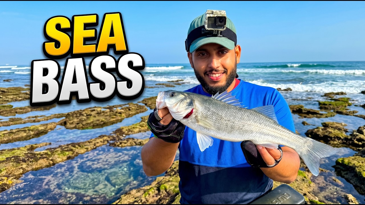 RAYS FISHING:صيد سمك الدرعي العنيد 🤯 بتقنية السبينينغ في شاطئ سيدي رحال لن تصدق 🤩