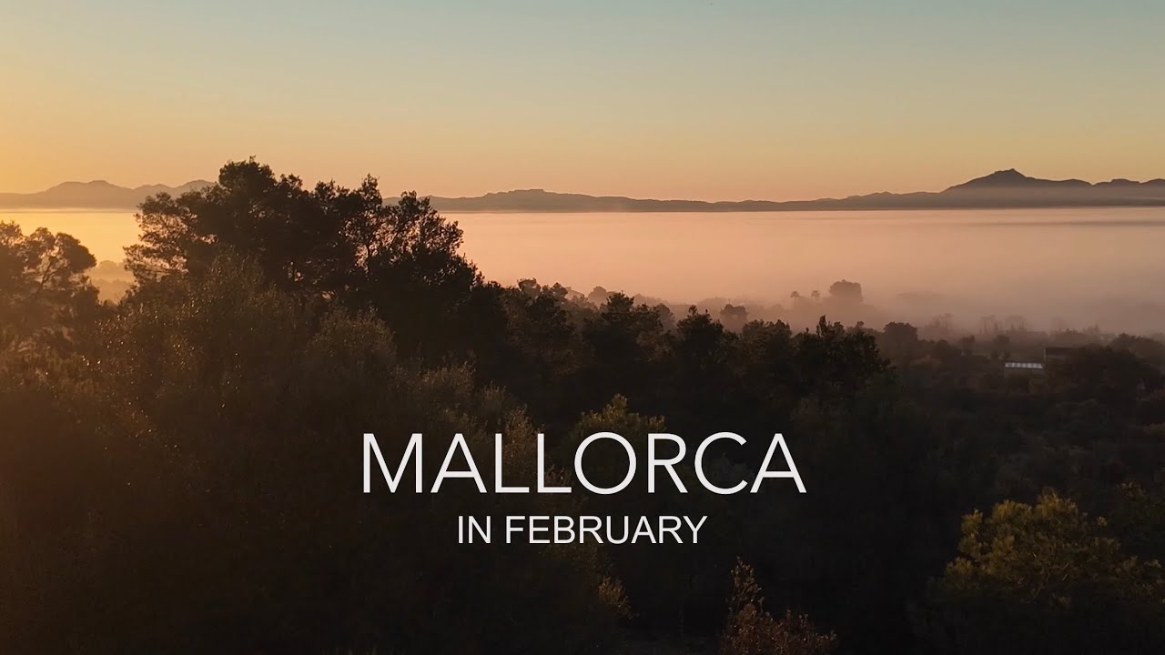 Instrumental Music
