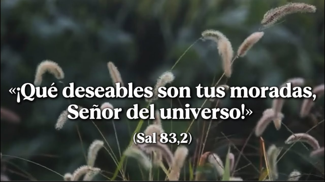 «℟. ¡Qué deseables son tus moradas, Señor del universo!» (Sal 83,2). Martes 10 de febrero