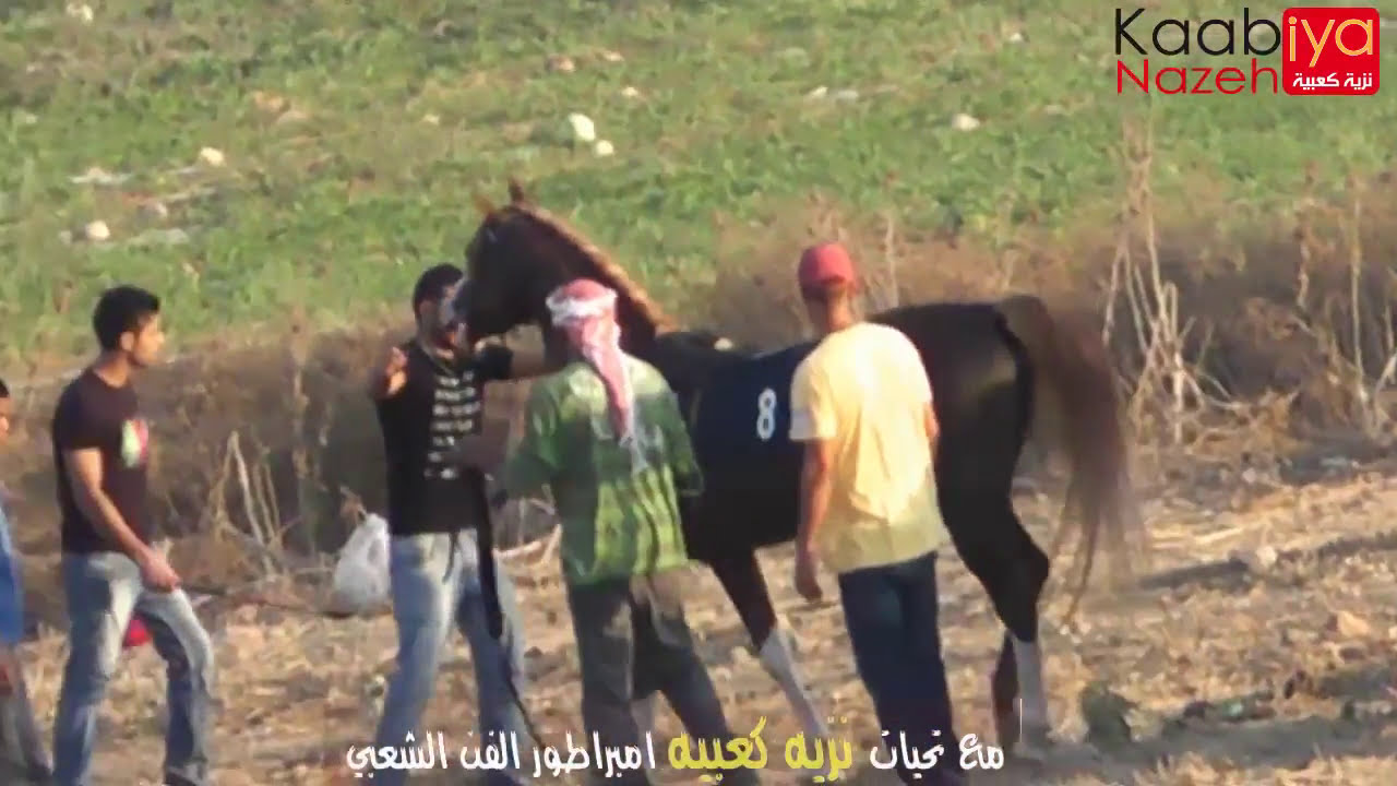 شوط الخروف الابطال البسيوني اكستريم دام المتهم الطريف ميدان الغريفات للفروسية 17/8/2012
