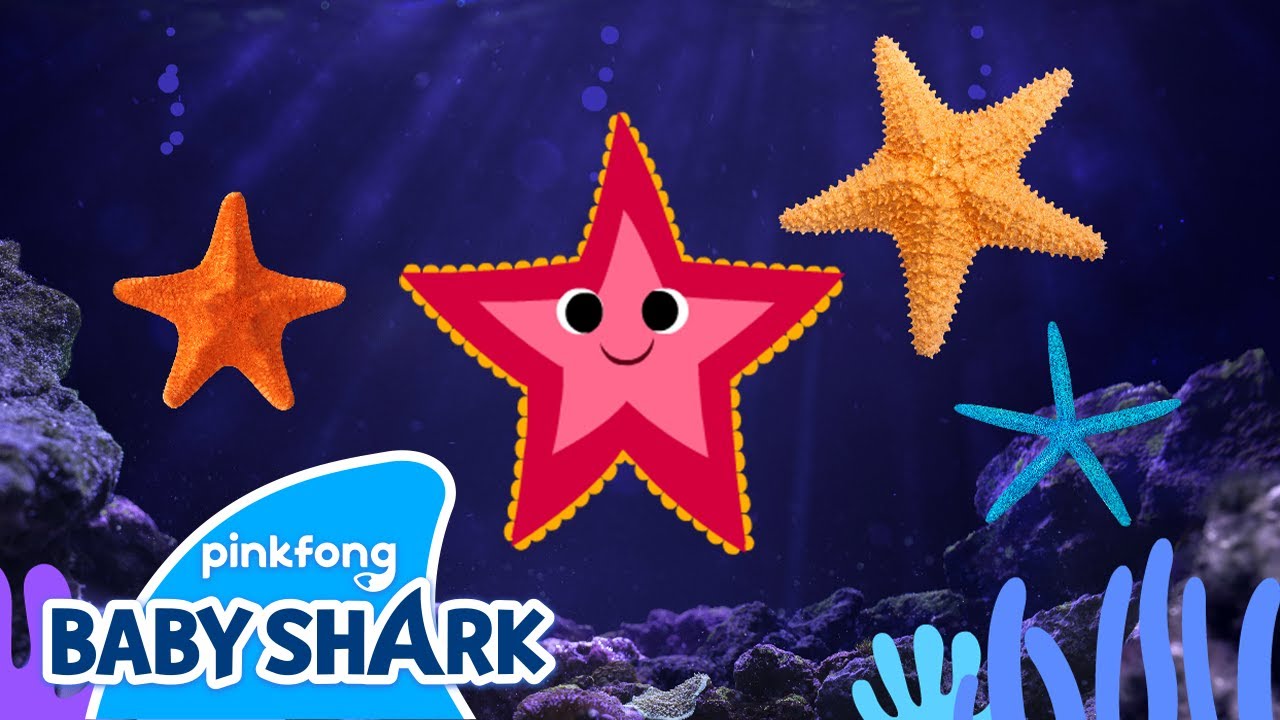 Shooby Dooby Starfish | Sea Animals Song | Baby Shark and Sea Animals | Baby Shark Official