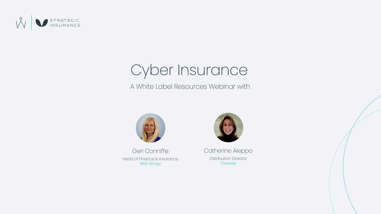 Cyber Risk Explained