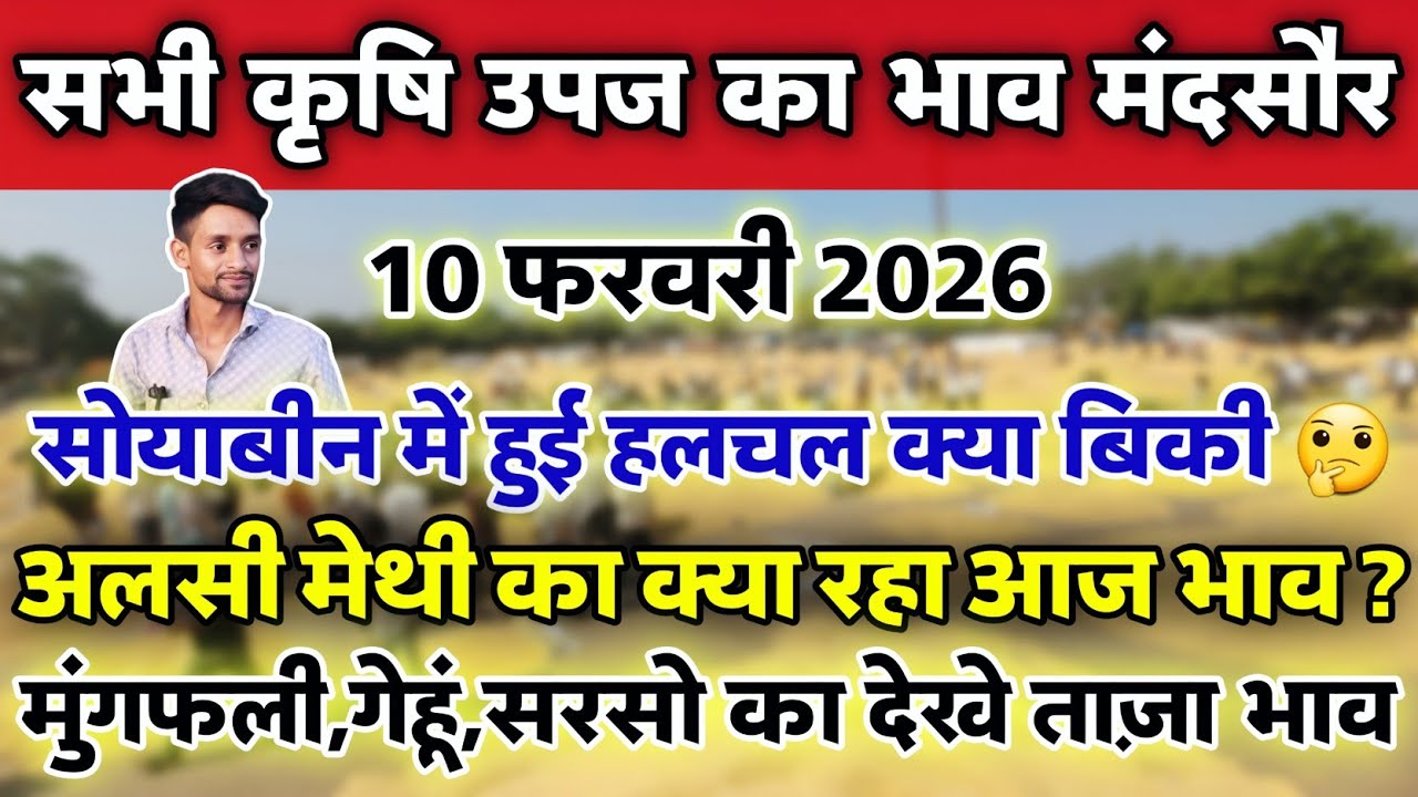 सभी कृषि उपज का भाव मंदसौर मंडी 10 फरवरी 2026 | Mandsaur Mandi ka bhav #mandsaur_mandi_bhav 
