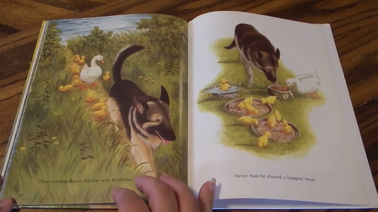 Fluffy And Baron By Laura Rankin Read Aloud For Kids