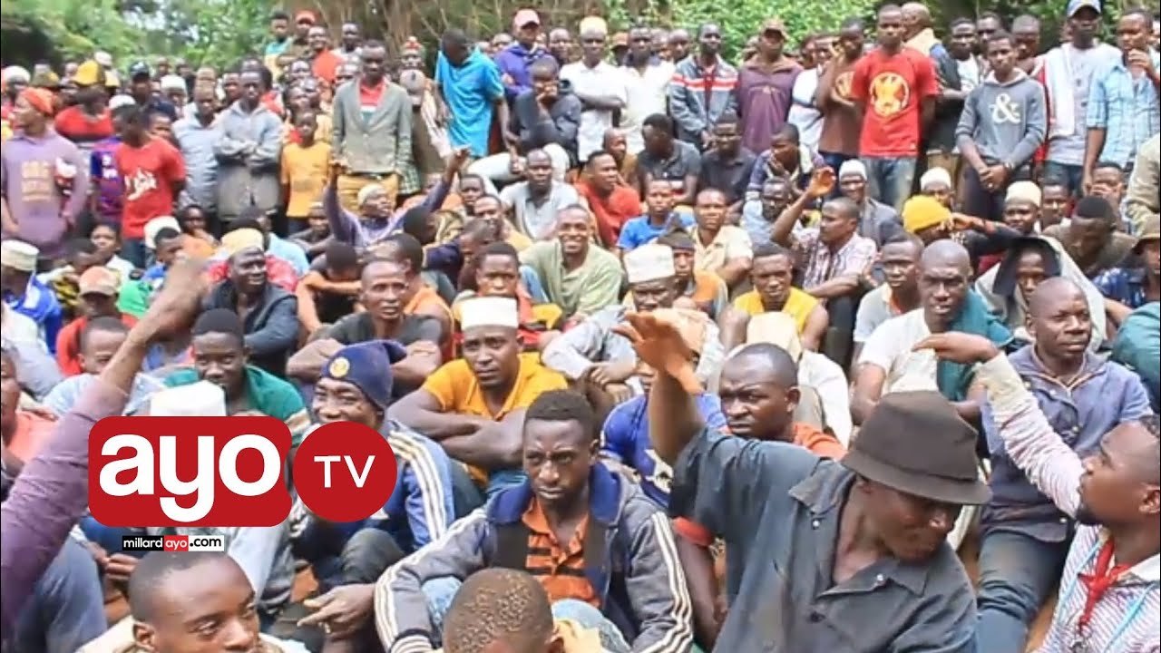 DC HANDENI AMALIZA VUTA NIKUVUTE YA WACHIMBAJI WADOGO NA KAMPUNI YA SUWA GOLD MINING