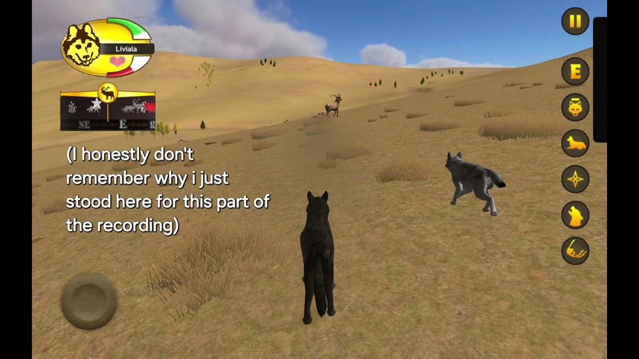 Hunting Belkies in WolfQuest 2.7 Easy Mode (Tutorial)