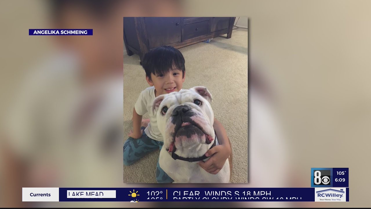 Dog stolen from southwest valley found dead in North Las Vegas
