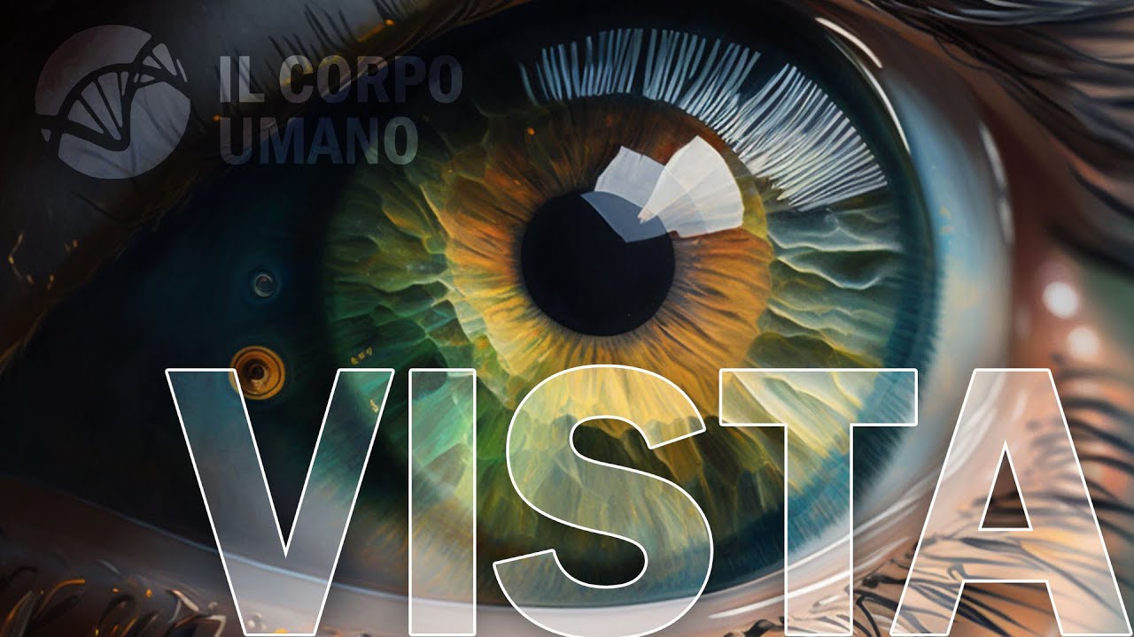 La Vista e l'occhio - Sensi e organi di senso | Il Corpo Umano