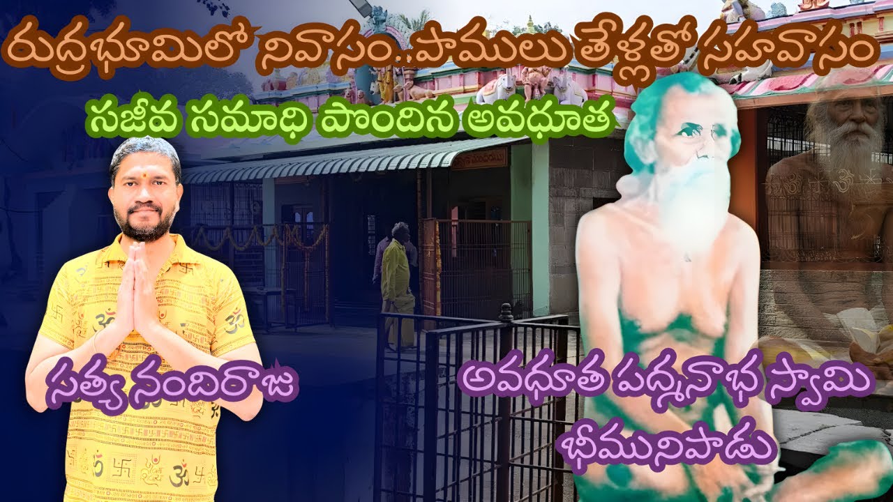 వీరబ్రహ్మేంద్ర స్వామి ముందే చెప్పారు #satyanandiraju #sanatandharma #ytviral ##hindu #spirituality 