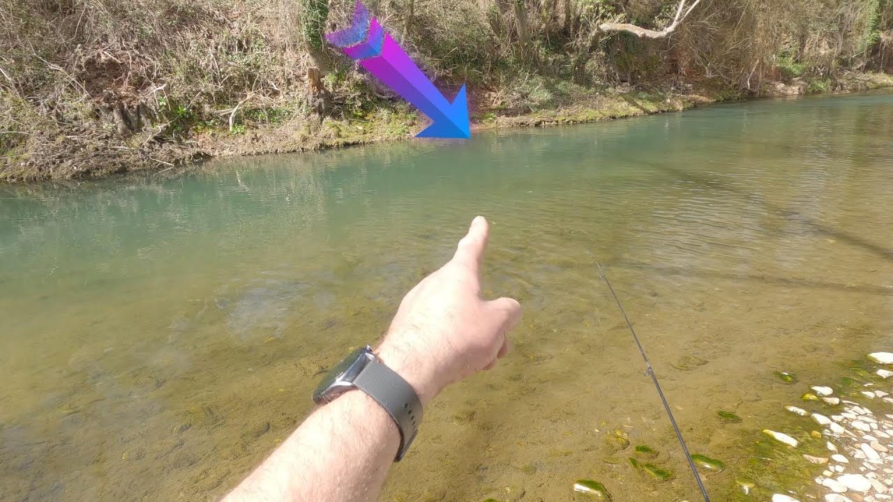 Mi Primera Jornada de Pesca en el 2023 | Poza de los monstruos |