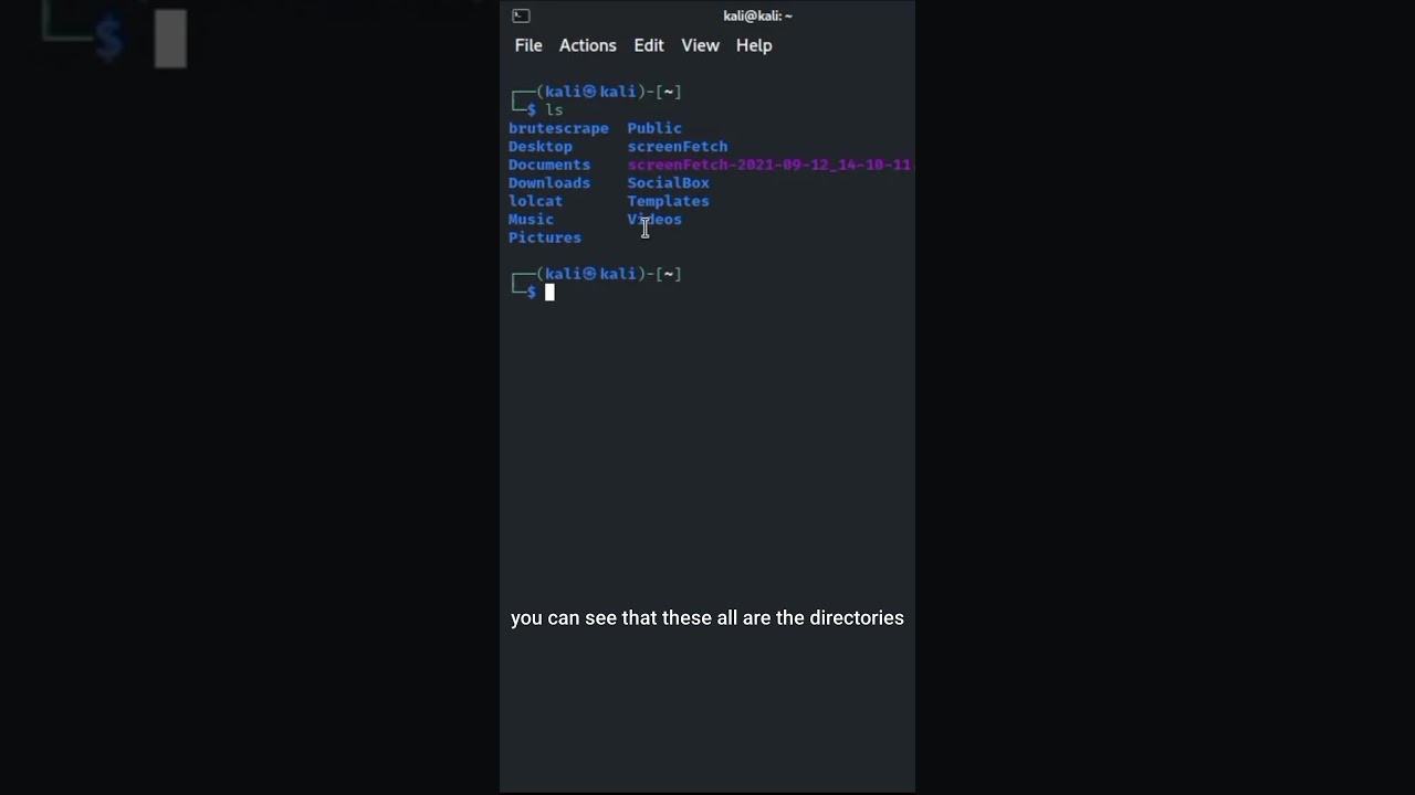 ls(List Directories) command - Dark Linux