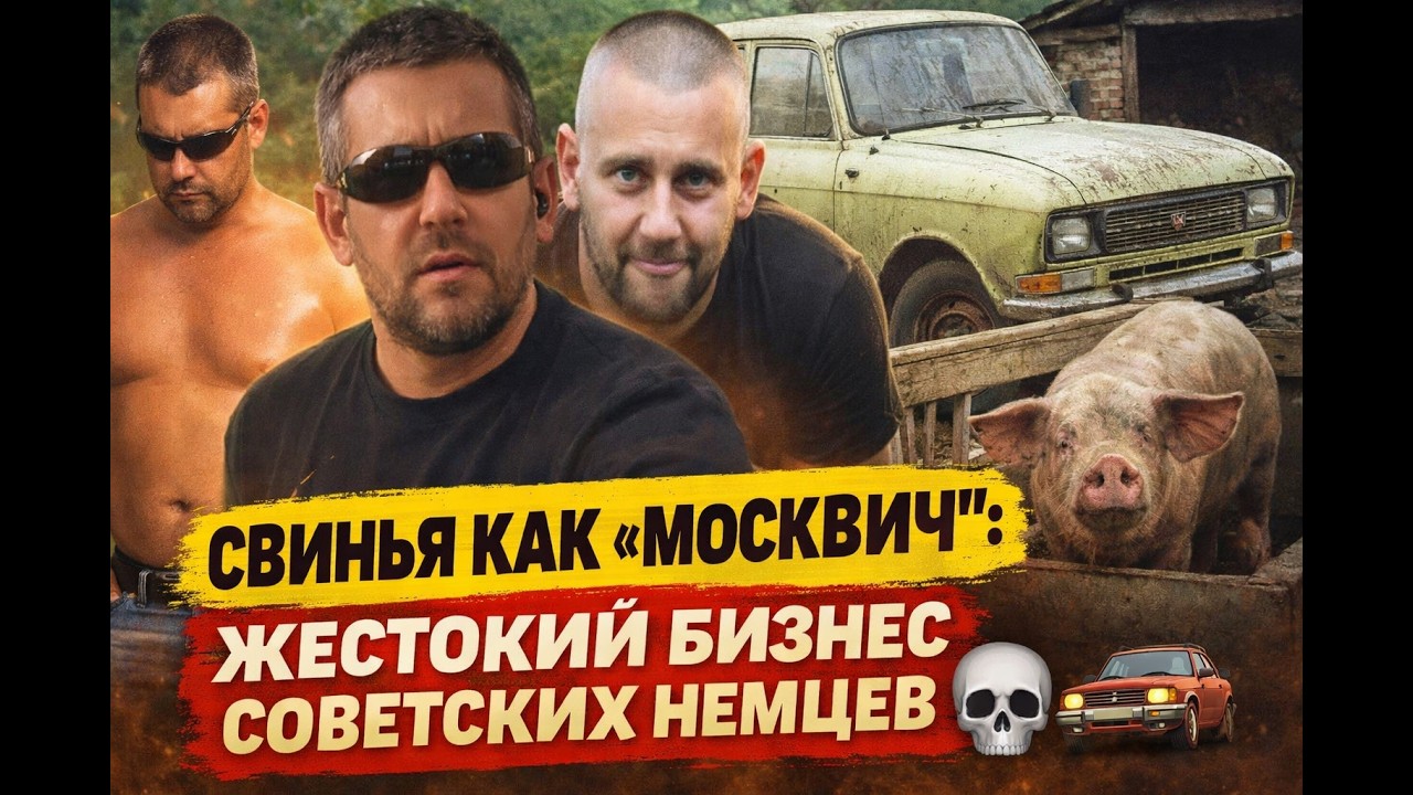 Колешь скот, получаешь машину: немецкая схема выживания в СССР 💪🚜