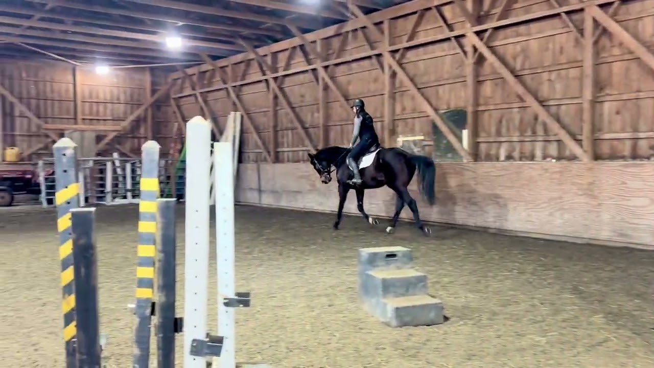 Koops Schooling Feb 27