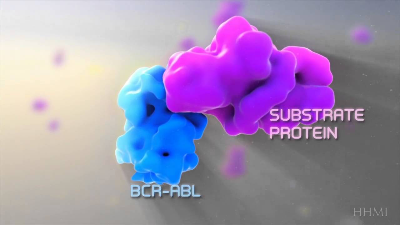 enzyme inhib flip vid1