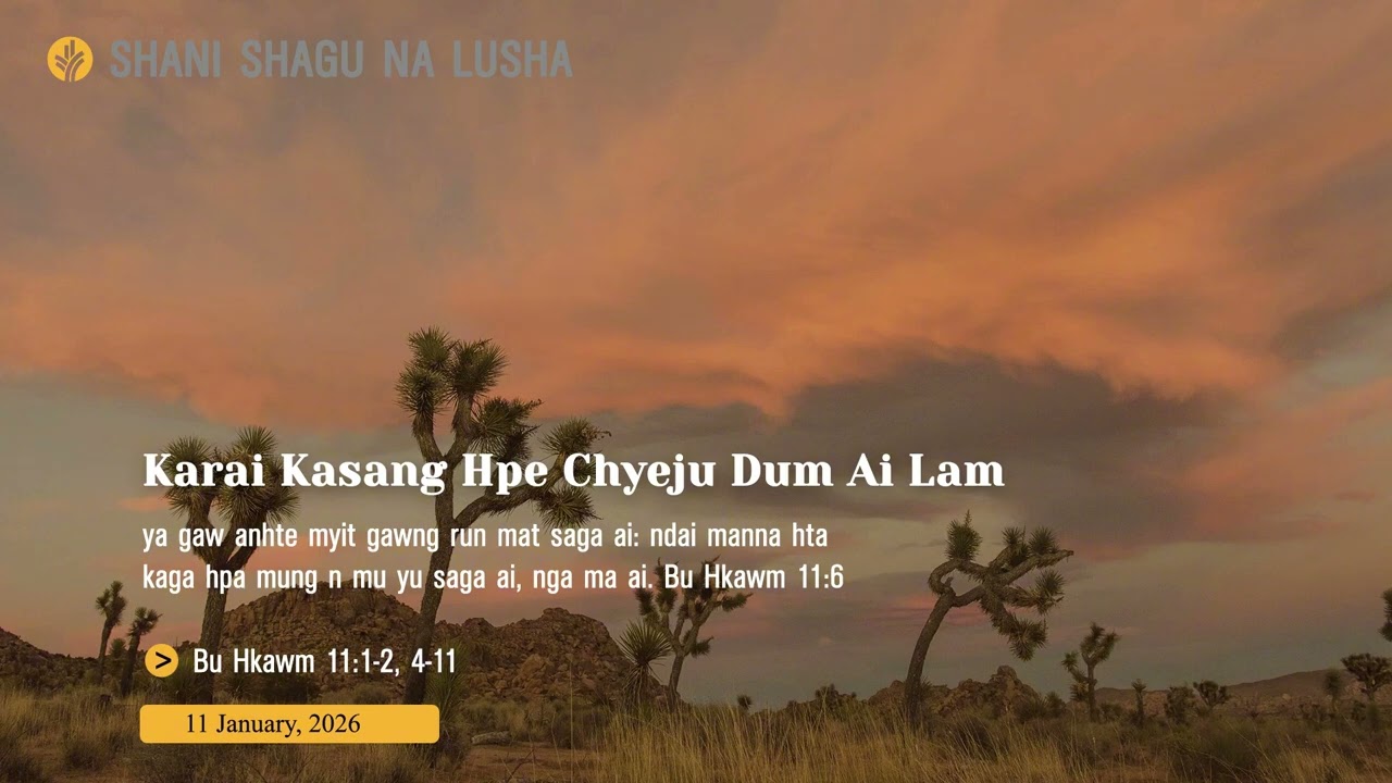 Shani Shagu Na Lusha (11 January, 2026)
