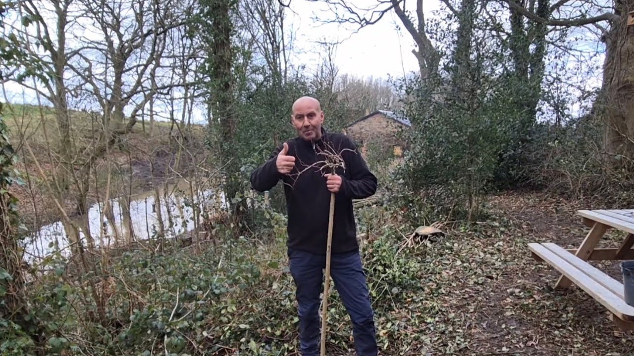 TOMS GIFT TO ME TO PLANT ANYWHERE, ALFREDS TRAIL FOR ME!!