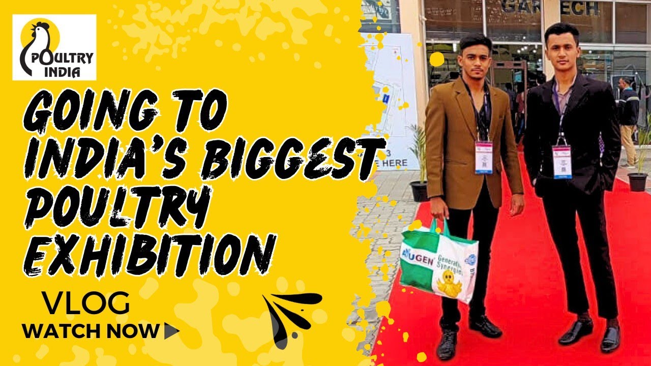India's Biggest Poultry Exhibition in Hyderabad | Poultry India | VLOG | Telangana Farms