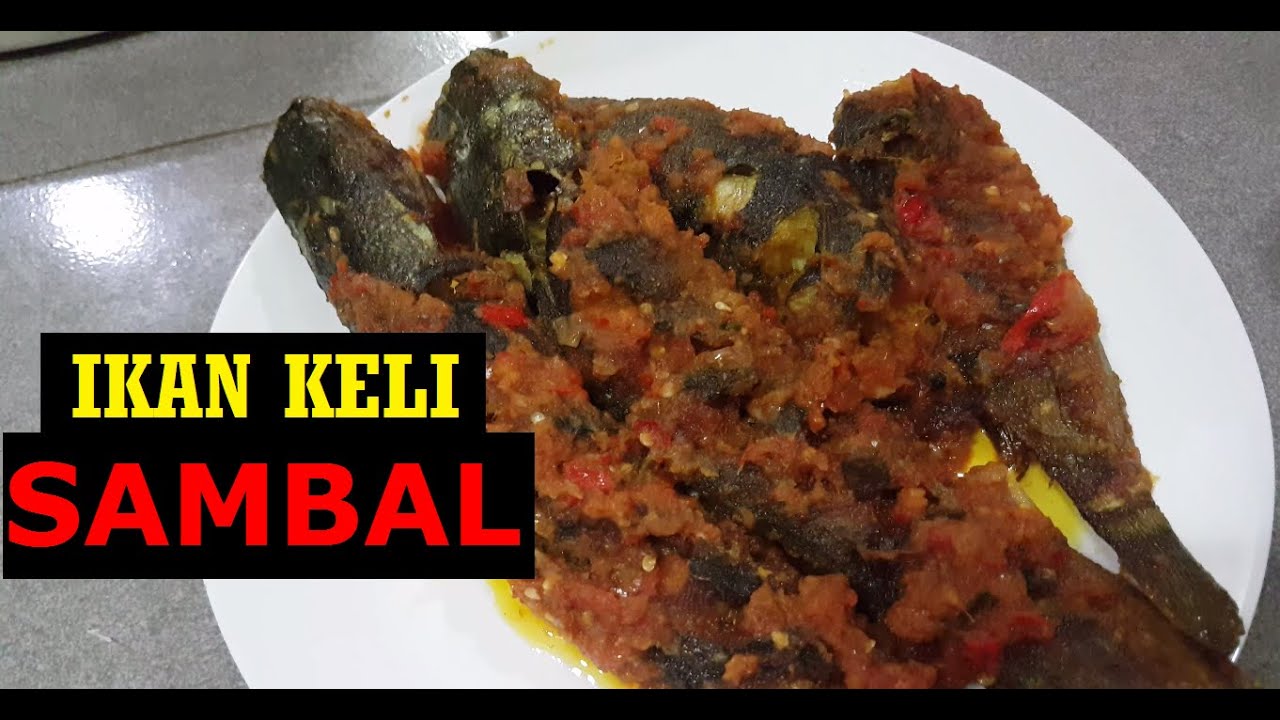 CARA MASAK IKAN KELI SAMBAL ( RESIPI MUDAH )