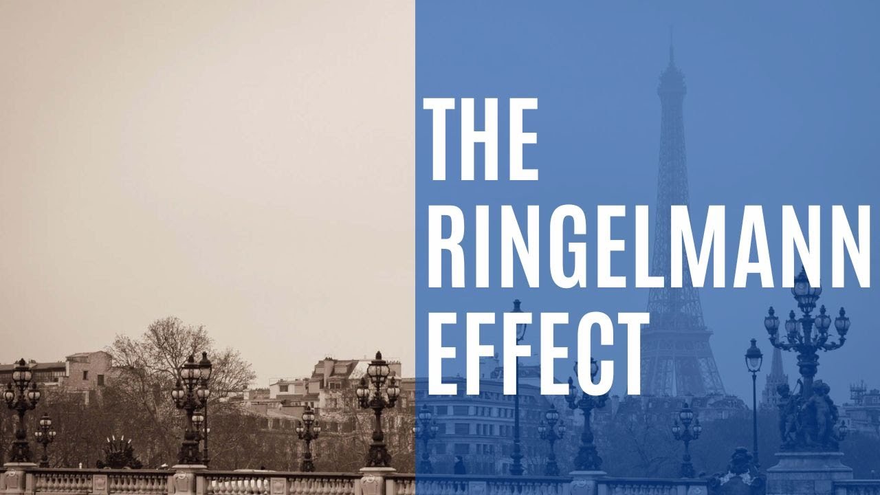 Are people naturally lazy? | The Ringelmann Effect | Crazy Science #3