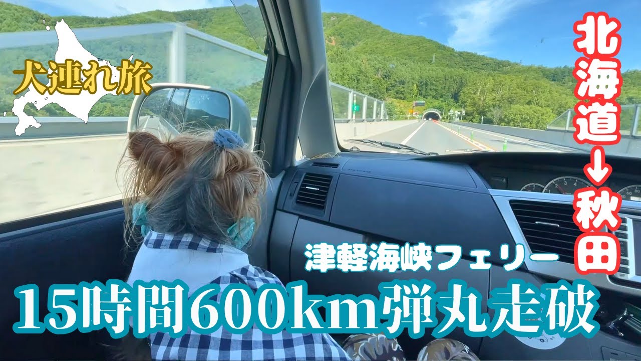 【北海道→秋田】15時間600ｋｍ完全走破フェリー弾丸旅  #170