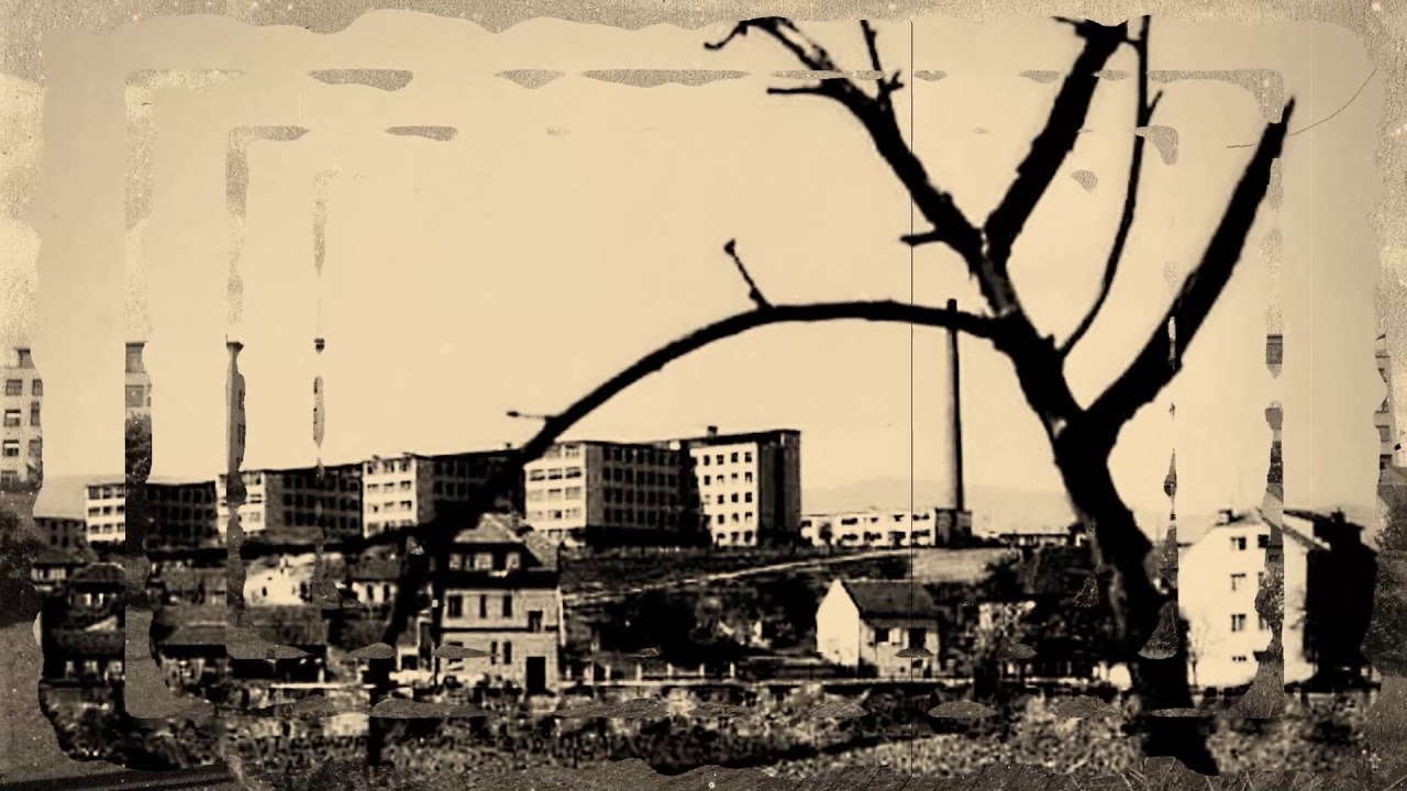 Priča o bolnici Rebro