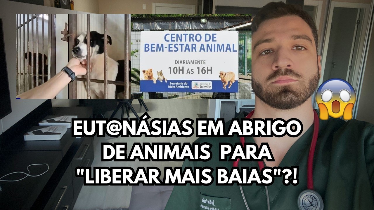 Abrigo de Joinville Sob Investiga&ccedil;&atilde;o: 413 Eutan&aacute;sias em An&aacute;lise