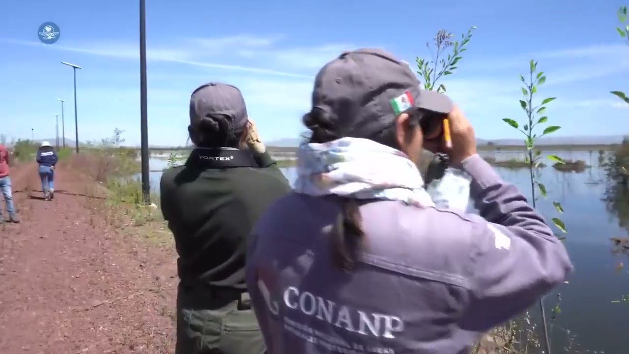 Así va el Lago de Texcoco