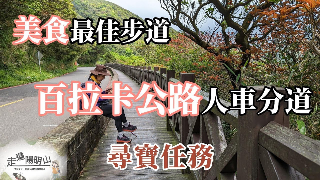 美食最佳步道 百拉卡公路人車分道 走遍陽明山尋寶任務 賞美景 吃美食 一次完成